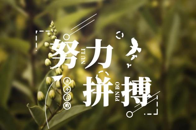 給我一份信任,還你10分滿意(圖3) 給我一份信任,還你10分滿意(圖3)